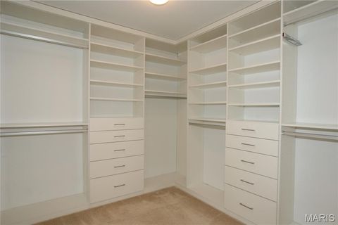 Tiny photo for 910 Ellis Park Drive, Wentzville, MO 63385 (MLS # 26011579)