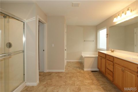 Tiny photo for 910 Ellis Park Drive, Wentzville, MO 63385 (MLS # 26011579)