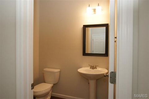 Tiny photo for 910 Ellis Park Drive, Wentzville, MO 63385 (MLS # 26011579)