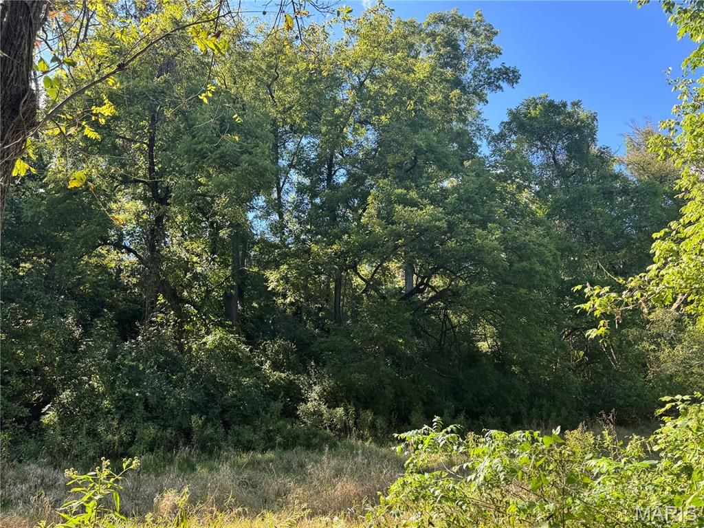 Photo of 375 Griffith Lane, Chesterfield, MO 63005 (MLS # 25056312)