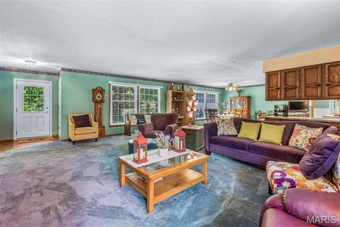Tiny photo for 842 Ridgeview Drive, Bonne Terre, MO 63628 (MLS # 26023857)