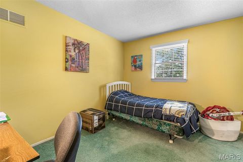 Tiny photo for 842 Ridgeview Drive, Bonne Terre, MO 63628 (MLS # 26023857)