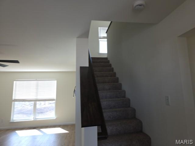 Creek Stone - Residential