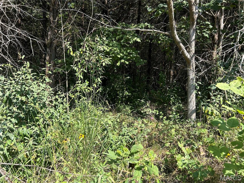 Lost Valley Lakes - Land