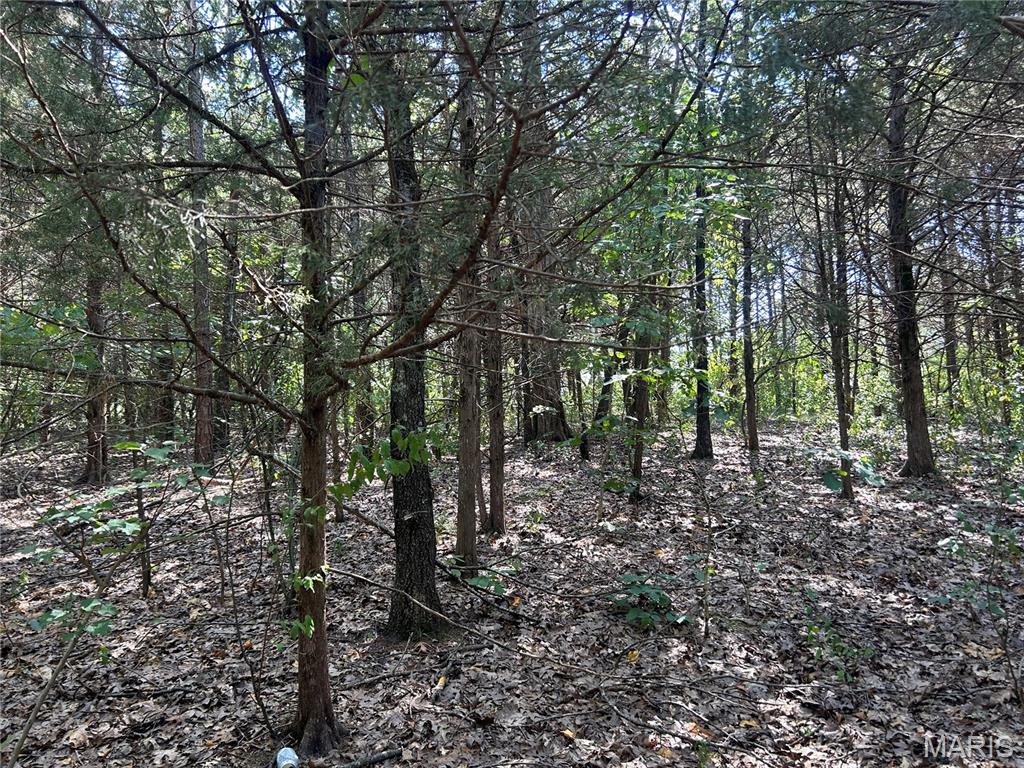 Lost Valley Lakes - Land