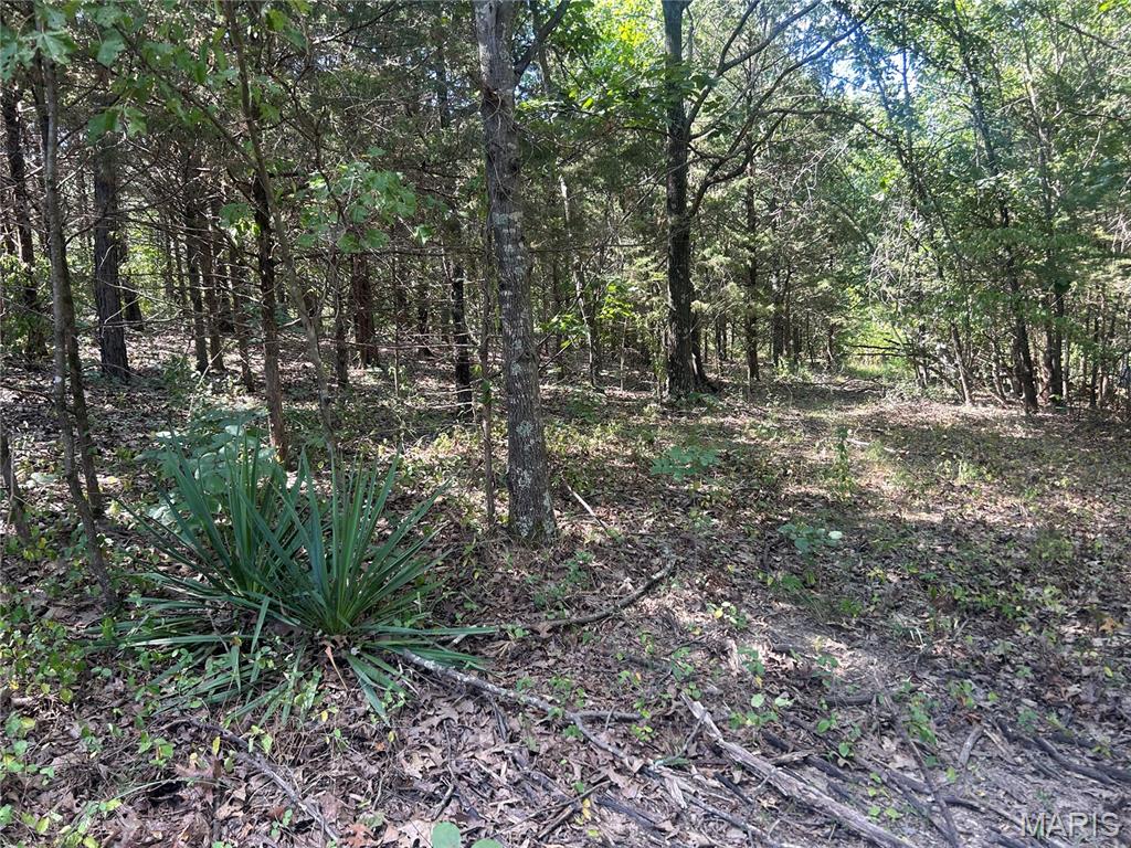 Lost Valley Lakes - Land