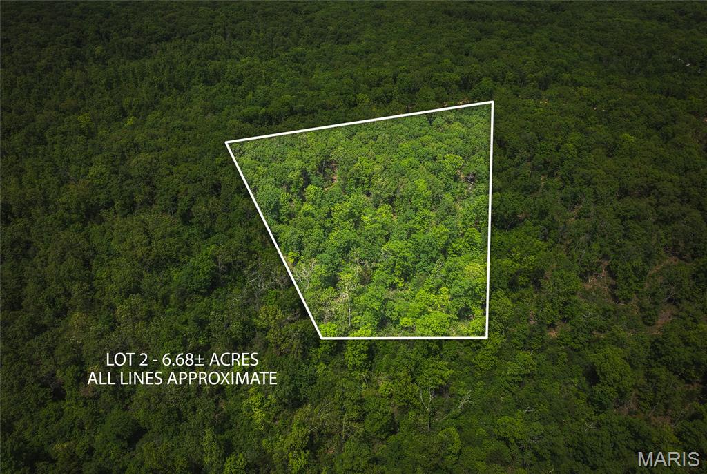 Spring Bluff Farms - Land