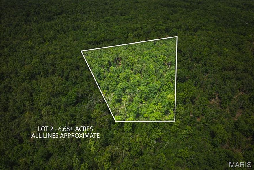 Lot 2 of Spring Bluff Farms is situated on 6.68 acres. It is located on Pea Ridge Road with its own private entrance. Located in a quiet and peaceful setting in the well sought after Spring Bluff School District. Bring your building plans and the builder of your choice and get started on your dream home!