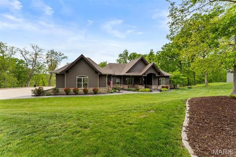 Tiny photo for 24 Kniess Court, Troy, MO 63379 (MLS # 26015862)