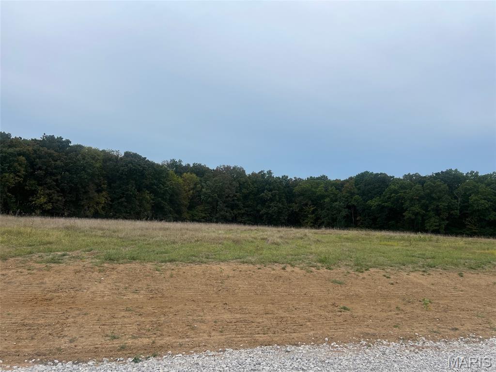 The Preserve at Holt Farms - Land