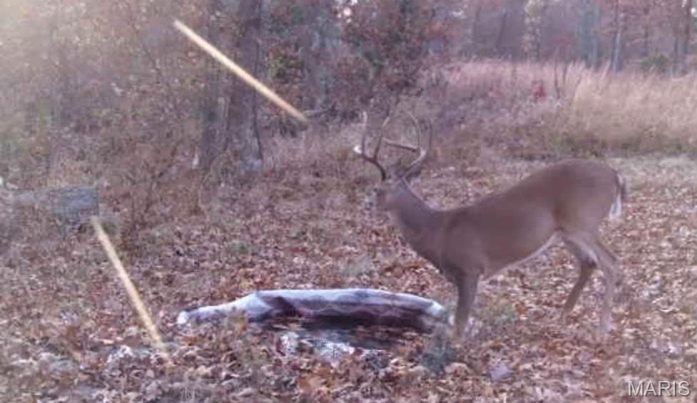 N/A, rural. - Residential