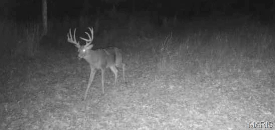 N/A, rural. - Residential