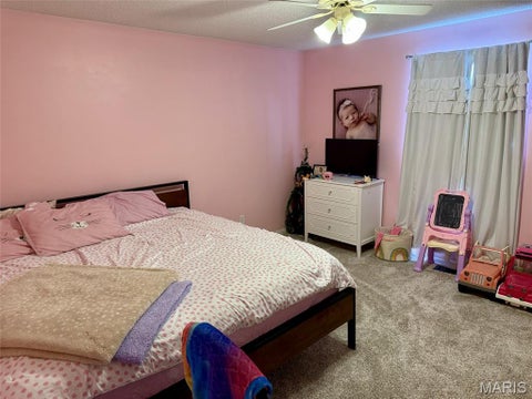 Tiny photo for 14878 Pike 343, Bowling Green, MO 63334 (MLS # 26050041)