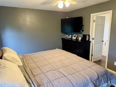 Tiny photo for 14878 Pike 343, Bowling Green, MO 63334 (MLS # 26050041)