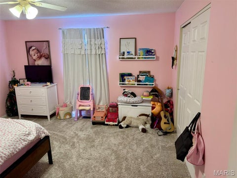 Tiny photo for 14878 Pike 343, Bowling Green, MO 63334 (MLS # 26050041)