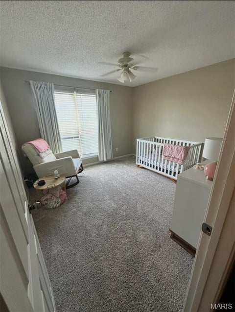 Tiny photo for 14878 Pike 343, Bowling Green, MO 63334 (MLS # 26050041)