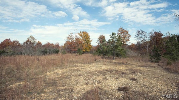 STATE HIGHWAY 49, PIEDMONT, MO 63957 - Image 33ffa7f2256a6c6db71cac70fa57bfb3/70716759