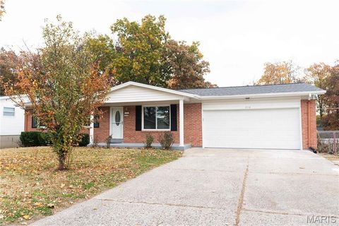 Photo of 210 San Jose Court, OFallon, MO 63366 (MLS # 25076197)