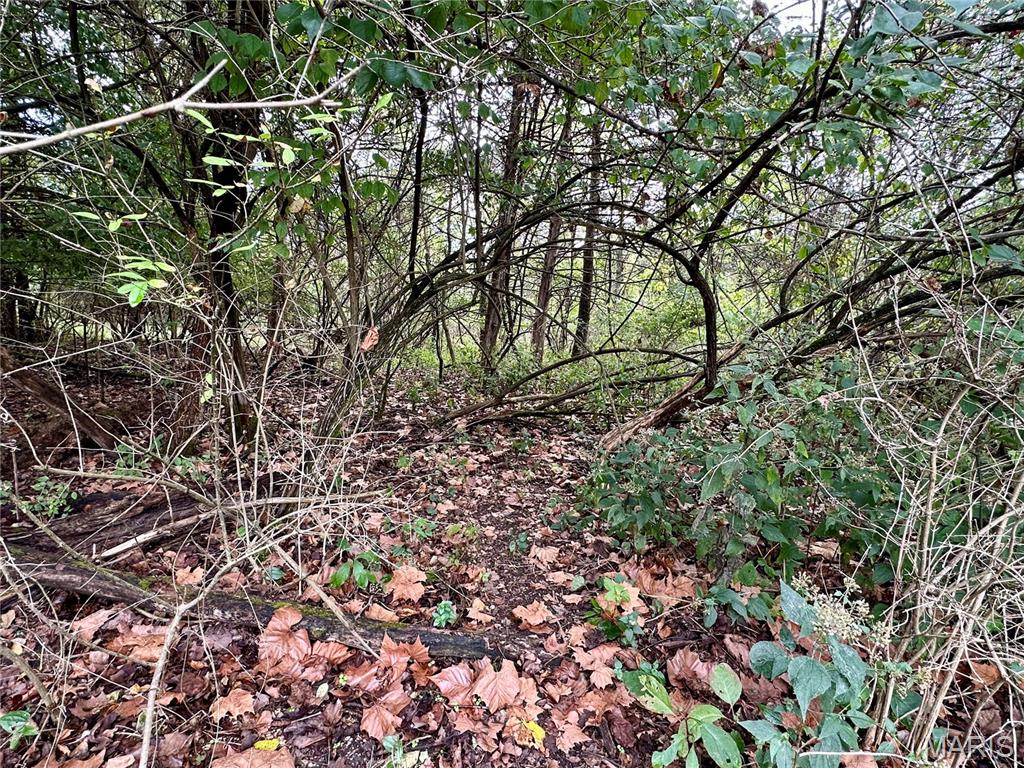 Shady Lane Sub - Land