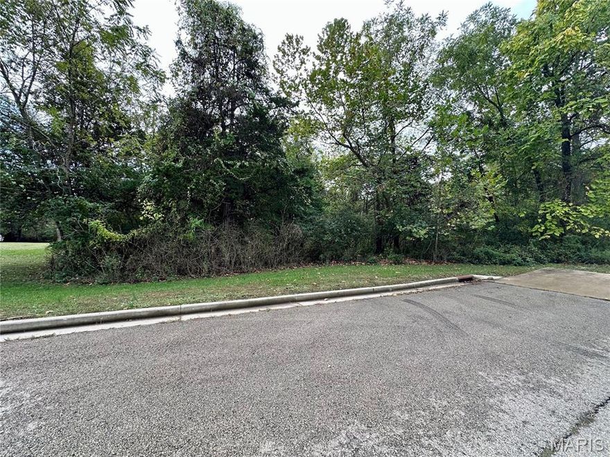 Discover peace, privacy, and potential with this rare 4-acre parcel tucked away at the end of a quiet cul-de-sac—right inside the city limits! Whether you're looking to build your dream home, create a private estate, or invest in future development, this property offers a unique blend of space and convenience. Utilities Available, Zoned for Residential Use, Mature Trees & Natural Landscape, Easy Access to City Amenities. Plenty of room to build, grow, and enjoy — all without giving up the benefits of city living.