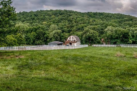 Tiny photo for 1235 Wild Horse Creek Road, Wildwood, MO 63005 (MLS # 25081485)