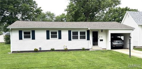 Photo of 719 Robin Street, Greenville, IL 62246 (MLS # 26031771)