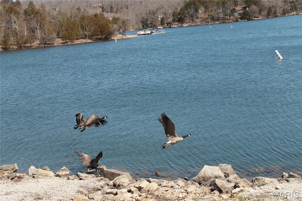 Lake Sherwood Estates - Land