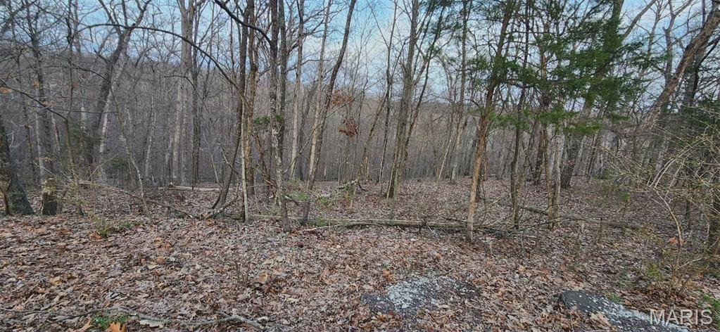 Lake Sherwood Estates - Land