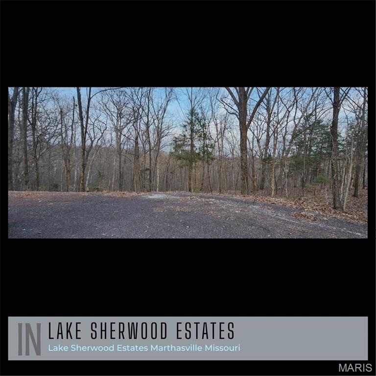 Lake Sherwood Estates - Land