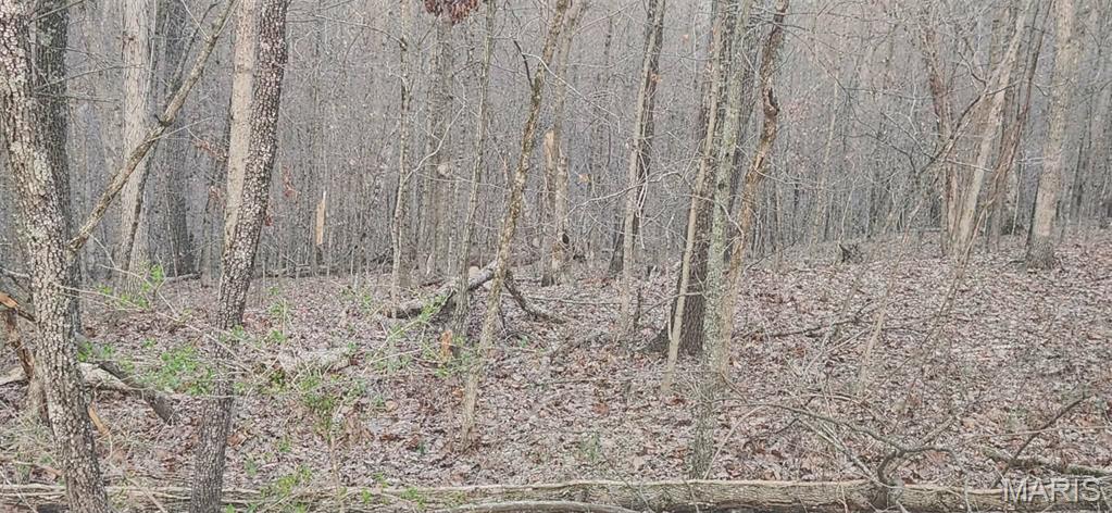 Lake Sherwood Estates - Land