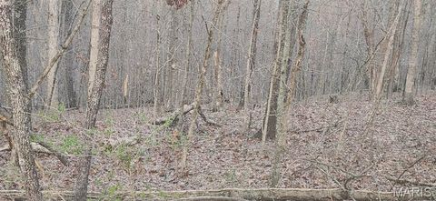 Tiny photo for 2422 Lancers Court, Marthasville, MO 63357 (MLS # 26018395)