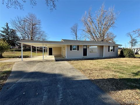 Photo of 424 N Spring Street, Perryville, MO 63775 (MLS # 25080138)