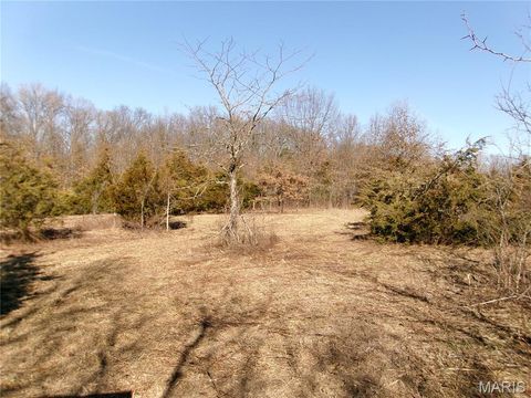 Tiny photo for 00 Pike 41, Bowling Green, MO 63334 (MLS # 26023371)