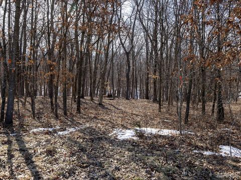 Tiny photo for 00 Pike 41, Bowling Green, MO 63334 (MLS # 26023371)