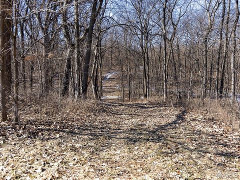 Tiny photo for 00 Pike 41, Bowling Green, MO 63334 (MLS # 26023371)