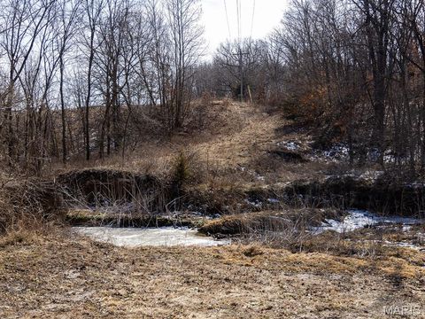 Tiny photo for 00 Pike 41, Bowling Green, MO 63334 (MLS # 26023371)