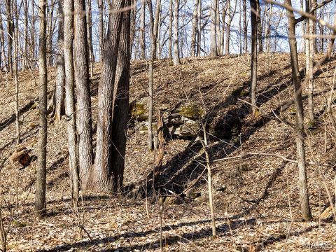 Tiny photo for 00 Pike 41, Bowling Green, MO 63334 (MLS # 26023371)
