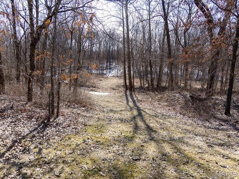 Tiny photo for 00 Pike 41, Bowling Green, MO 63334 (MLS # 26023371)
