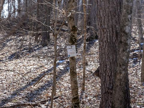 Tiny photo for 00 Pike 41, Bowling Green, MO 63334 (MLS # 26023371)