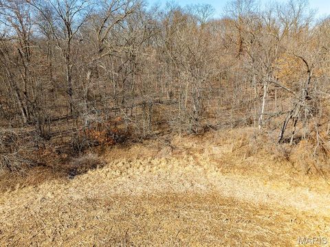 Tiny photo for 00 Pike 41, Bowling Green, MO 63334 (MLS # 26023371)