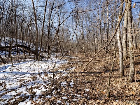Tiny photo for 00 Pike 41, Bowling Green, MO 63334 (MLS # 26023371)