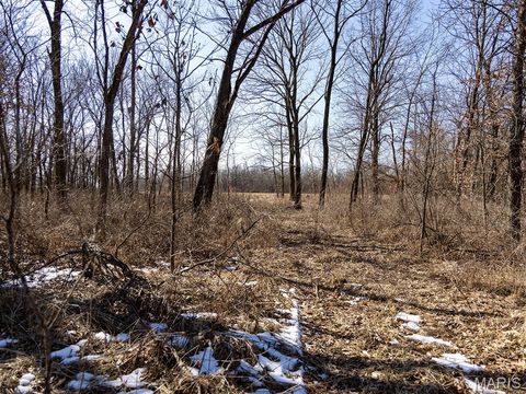 Tiny photo for 00 Pike 41, Bowling Green, MO 63334 (MLS # 26023371)