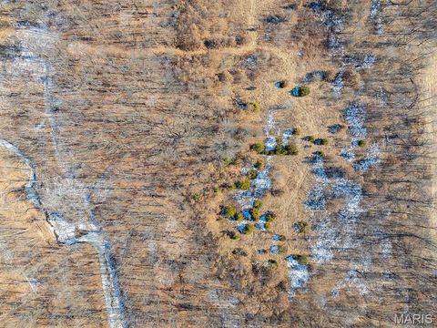 Tiny photo for 00 Pike 41, Bowling Green, MO 63334 (MLS # 26023371)