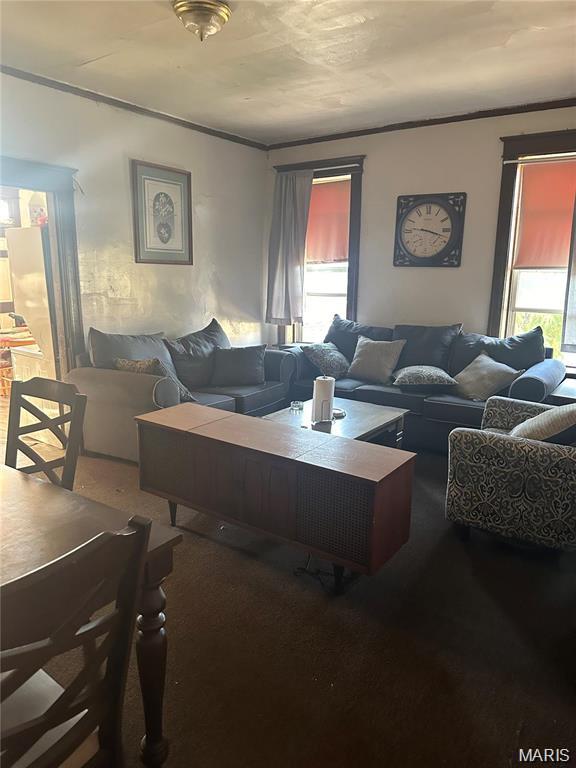 Jeff-Vander-Lou - Commercial Sale