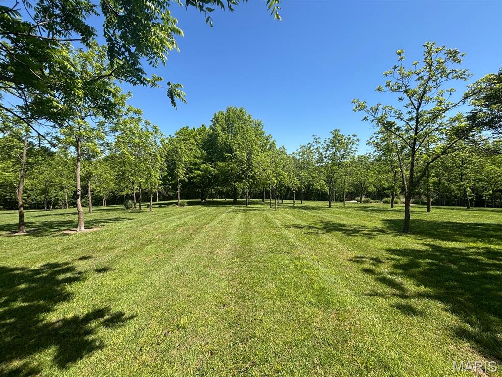 Lake View Estate - Residential