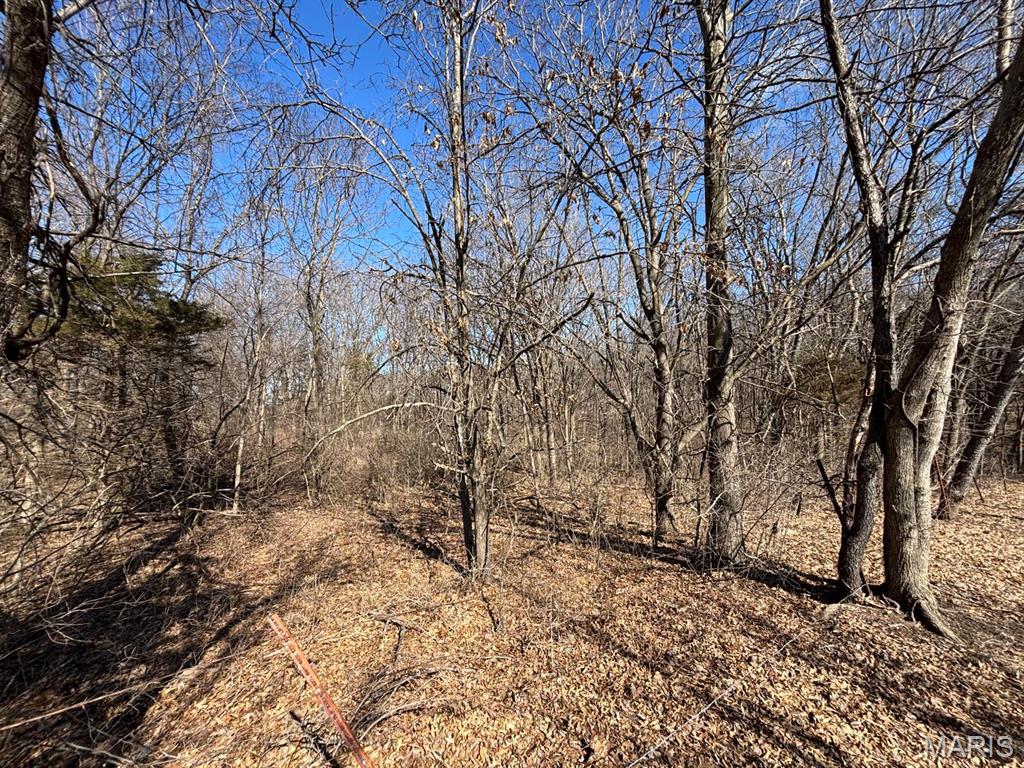 Lake View Estate - Residential