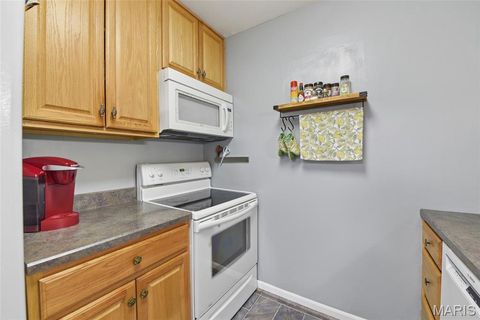 Tiny photo for 839 Lilybud Court, Ballwin, MO 63011 (MLS # 26008100)