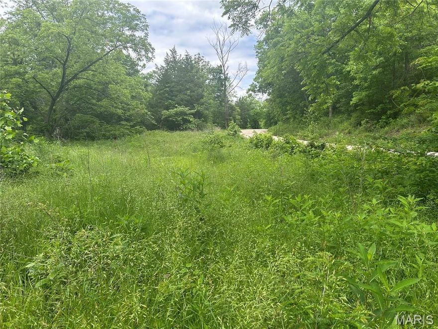 25 Acres with Creek, Road Frontage & Utilities – Prime Location Near Lake of the Ozarks  Discover your own slice of Missouri paradise with this beautiful 25-acre wooded property, featuring a year-
round creek, county road frontage, and a private driveway already in place. Located just 2 miles off the highway, this peaceful retreat offers both seclusion and convenience, with electricity already installed and ready for your dream home, cabin, or weekend getaway. Nature lovers will appreciate the mature timber, abundant wildlife, and tranquil creek that flows through the property year-round. Ideal for hunting, hiking, or simply enjoying the outdoors. Situated only 13 miles from Lake of the Ozarks and 20 miles from Truman Lake, you’re never far from top-tier fishing, boating, and recreation. Whether you're looking to build, camp, or invest, this versatile tract offers endless possibilities.