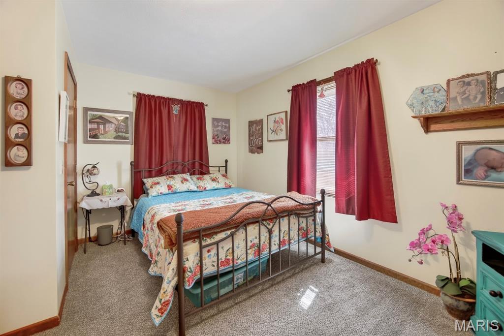 Oak Tree - Residential