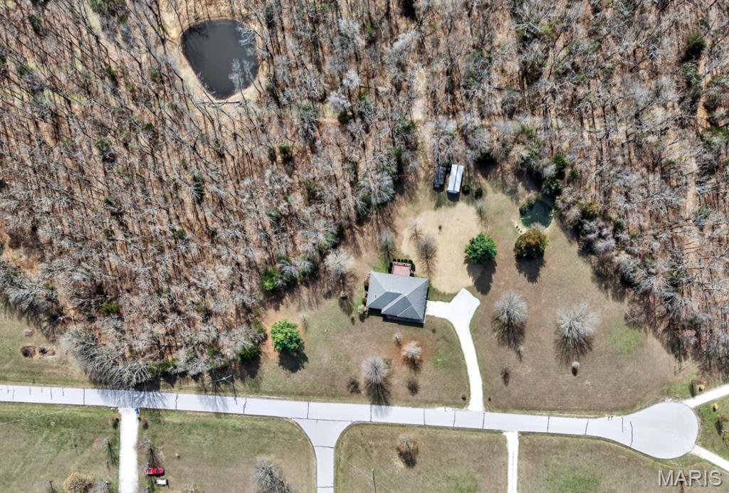 Oak Tree - Residential